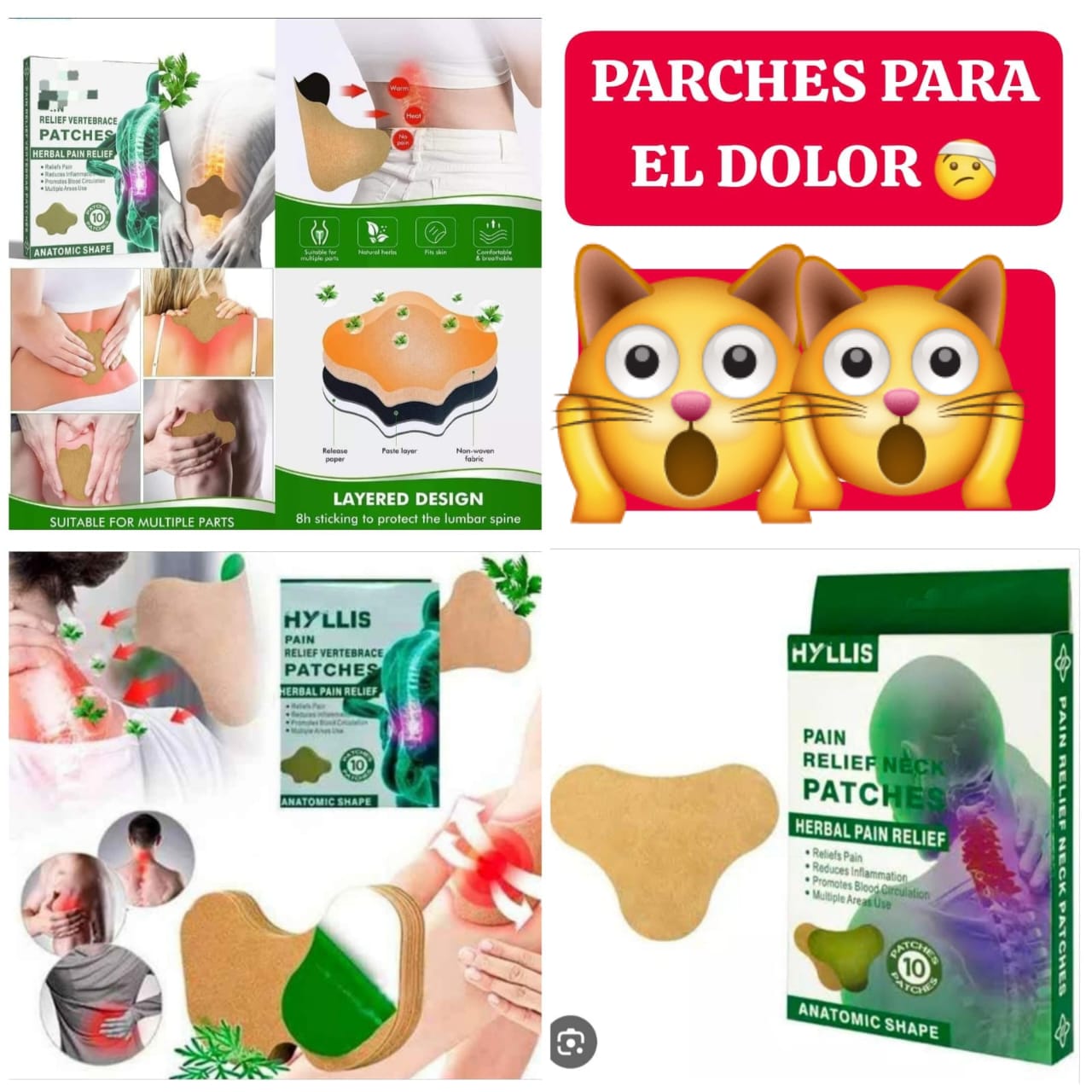 PARCHES PARA EL DOLOR X 10 UND