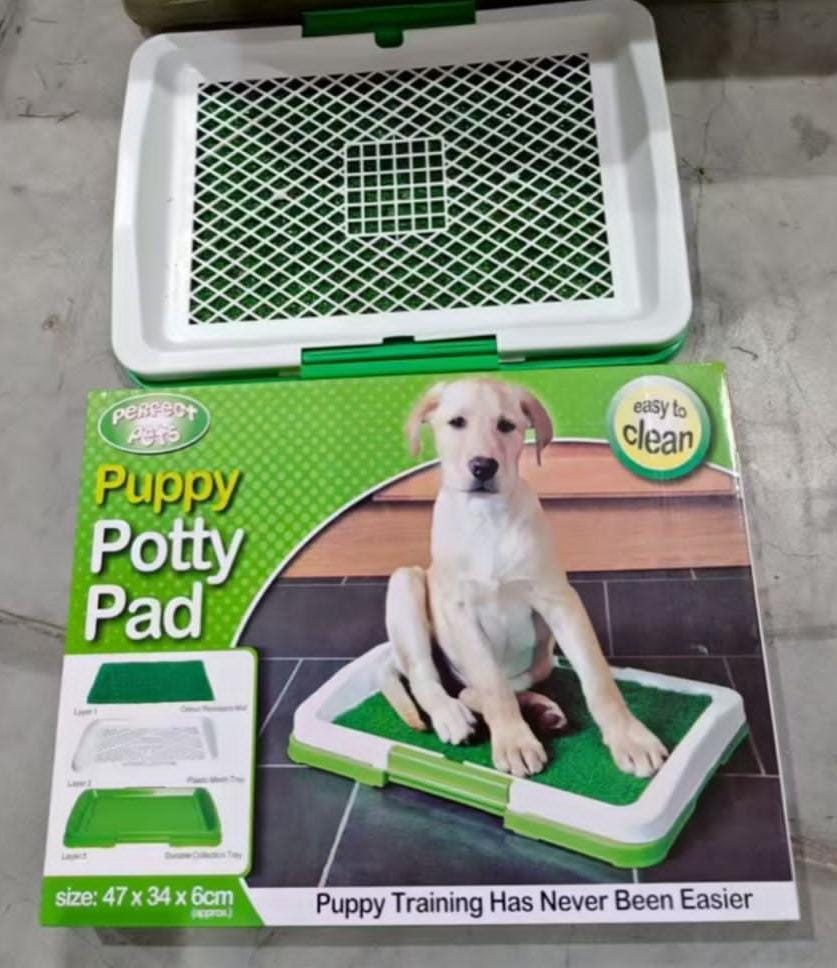 BAÑO BASE DE MASCOTA 🐕